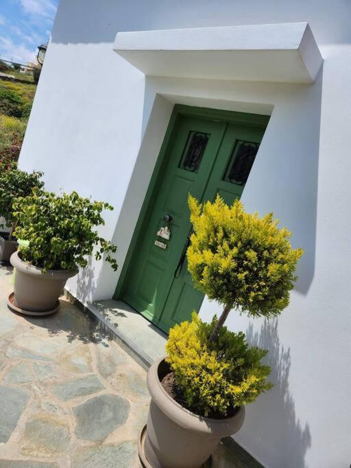 Stellinas Pretty House Andros Town Exterior foto