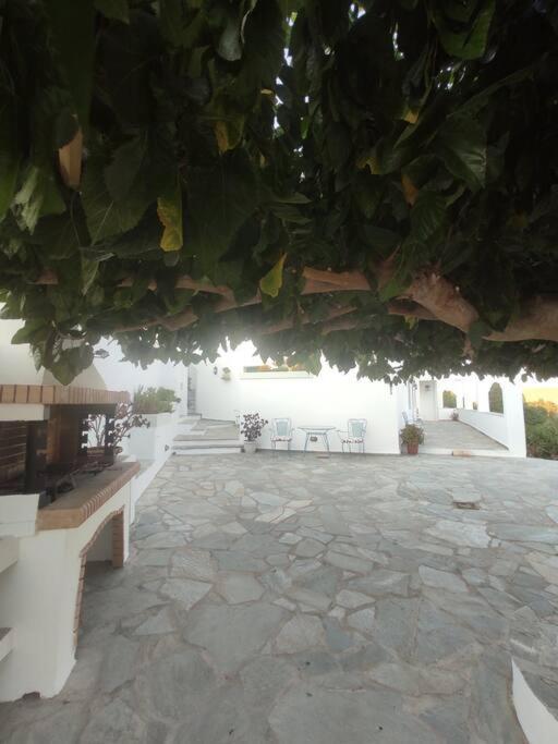 Stellinas Pretty House Andros Town Exterior foto